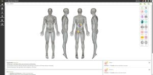 synaptos bodychart